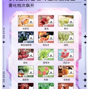XIAOKE 可替換式電子煙 (適配 RELX6代) (精選款)